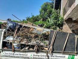 Best Yard Waste Removal in Selma, TX